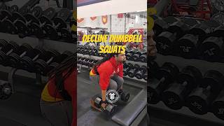 🔥 Decline Dumbbell Squats bodiedbyheft buildmuscle legday truewealthfitness gymlife fitness [upl. by Sgninnej]