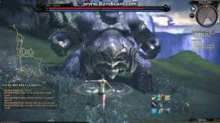 TERA Mystic Gameplay 2  CBT3 Korea HD 720p [upl. by Innattirb951]