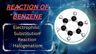 Reaction Of Benzene Electrophilic Substitution Reaction quotHalogenationquot [upl. by Aivil210]