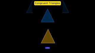 What are Congruent Triangles [upl. by Kenna]