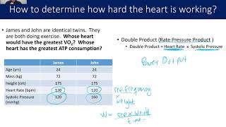 Cardiovascular response to exercise and control [upl. by Hairahs]