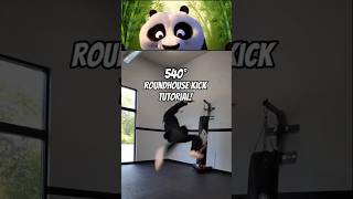 Mastery Guide Advanced 540° Roundhouse Kick Technique [upl. by Chandos299]