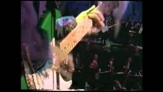 Frank Zappa  Any kind of pain Zappas Universe Live 91 [upl. by Merwyn]