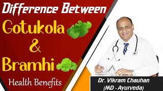 Difference Between Gotukola and Bramhi  Health Benefits [upl. by Ocirderf]