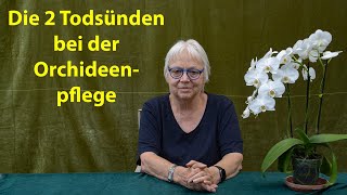 Orchideen Pflege richtig gemacht – Bei der Orchidee ist manchmal weniger mehr [upl. by Birdella]