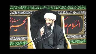 5 qualities of youth from Imam Sajjad AS  Sheikh Jaffer Ladak [upl. by Lewes326]