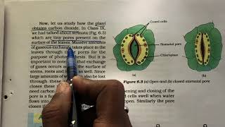 2 autotrophic nutrition class 10 biology life processes NCERT [upl. by Nylanaj]