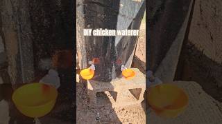 How to create a low maintenance chicken waterer [upl. by Hamforrd]