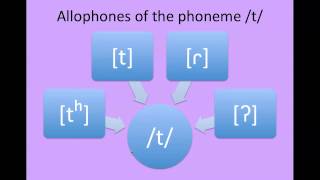 Phonology [upl. by Lenssen]