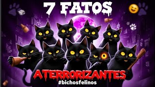 7 Fatos Aterrorizantes sobre os Gatos Pretos bichosfelinos [upl. by Griffith]