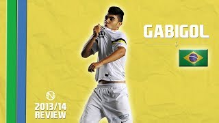 GABRIEL GABIGOL BARBOSA  Goals Skills Assists  Santos  20132014 HD [upl. by Ynattirb76]