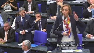 quotDas ist an Dummheit nicht zu überbietenquot ► AfD  Beatrix von Storch [upl. by Esyli21]