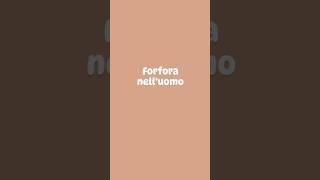 Forfora nelluomo [upl. by Zillah]