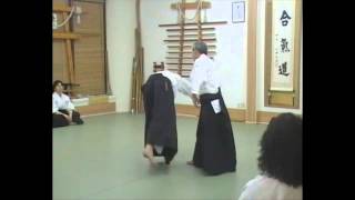 Shirakawa Katsutoshi sensei Kangeiko in Greece【Aikido Kobukan】 [upl. by Amrita]