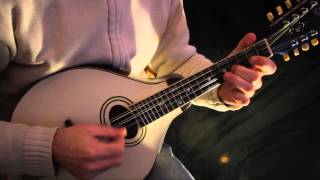 Irish mandolin lessons Leddy from cavan reel [upl. by Ettesel684]