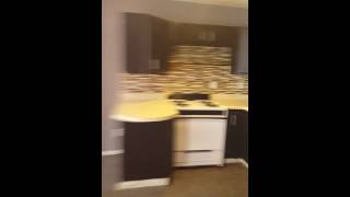 19 Elberon Place Apt 1 Albany NY [upl. by Dorsy]