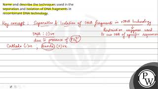 Name and describe the techniques used in the separation and isolation of DNA fragments in recomb [upl. by Grimona552]