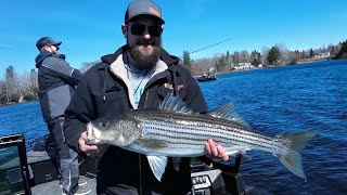 Miramichi River Opening Weekend 2024 Pt1 [upl. by Namolos]