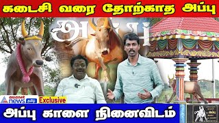 Jallikattu Special  Appu Kalai Memorial  ஊரே கொண்டாடிய அப்பு காளையின் நினைவிடம் [upl. by Hanikehs435]