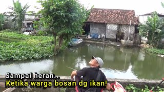 Belakang kampung banjir Ikan sebanyak ini gak ada yang mancing [upl. by Machos]