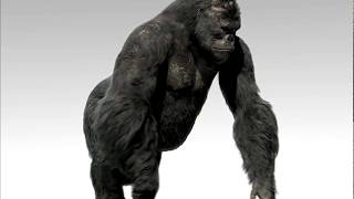 King Kong VFX  Breakdown  Kong  Weta Digital [upl. by Iaka]