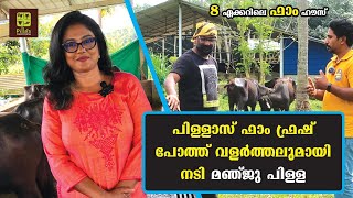 PILLAS FARM FRESH ATTINGAL  KERALA BEST BUFFALO DEALERS  Episode  1  PAPPAYA VLOGS [upl. by Juliana660]