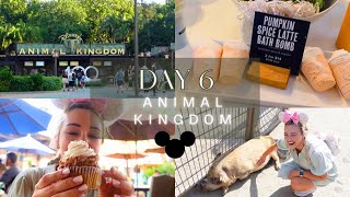 ORLANDO DAY 6  ANIMAL KINGDOM  BASIN AT DISNEY SPRINGS  SEPTEMBER 2023 [upl. by Anisah]