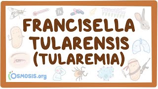 Francisella tularensis Tularemia  an Osmosis Preview [upl. by England]