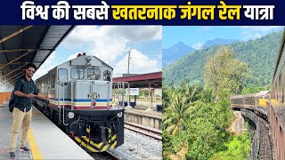 Worlds most thrilling Jungle train Journey through dense forest [upl. by Floria]