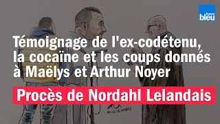 Procès de Nordahl Lelandais  témoignage de son excodétenu sur la cocaïne et les coups donnés [upl. by Eehsar]