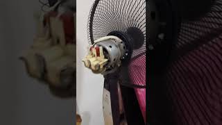 1999 National stand fan F40SLX motor startup and broken Dowell desk fan [upl. by Faye29]