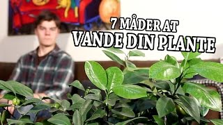 7 Måder at Vande din Plante [upl. by Ira]