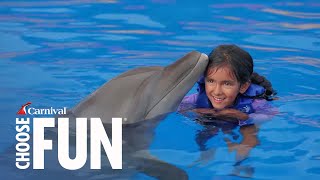 Dolphin Signature Swim with Lunch in Puerto Vallarta Mexico  Carnival Cruise Line [upl. by Eyt]