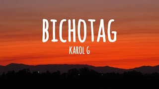 KAROL G  BICHOTAG LetraLyrics [upl. by Stempson506]