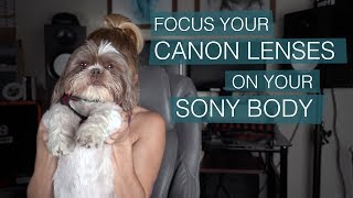 CANON glass on your SONY BODY w Altsons Smart Adapter [upl. by Orgel262]