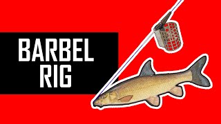 How to tie a RIG for BARBEL [upl. by Pontias]