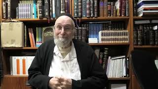 Parshat Mishpatim with Reb Chaim Kramer [upl. by Eninotna468]