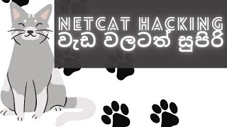 Master Netcat in sinhala A Comprehensive Tutorial  Termux hacking [upl. by Deanne]