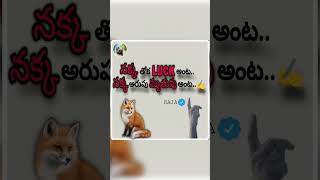 AlaVaikunthapurramuloo Ramuloo Ramulaa Video SongTelugu songs  Allu Arjun  Trivikram  Thaman [upl. by Aniuqahs]