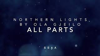 Northern Lights by Ola Gjeilo SSAA ALL PARTS [upl. by Sutsuj116]