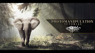 Photoshop Tutorial Photomanipulation [upl. by Nodab]