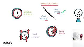 Types of Insulin and How It Works [upl. by Alyar380]