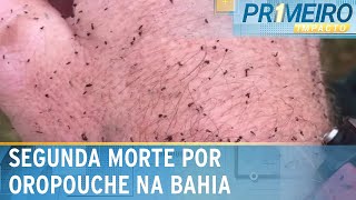 Febre oropouche segunda morte pela doença é confirmada na Bahia  Primeiro Impacto 230724 [upl. by Aneelas]