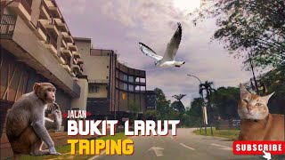 Jalan Bukit Larut  Taiping  Perak  Malaysia [upl. by Wilbur463]