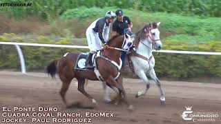 DUELO DE HNOS🔥PONTE TRUCHA🆚 PONTE DURO🆚SARAPE🔥 Fresno Hipodromo SIN🍅 [upl. by Gruver]