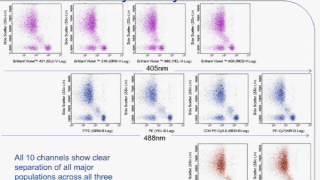 Simplified Benchtop Multicolor Flow Cytometry for Immune and Cancer Cell Analyses [upl. by Eberly]