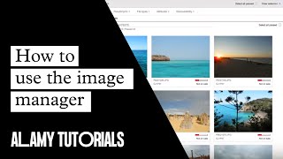 Alamy Image Manager  Tutorial [upl. by Loriner]