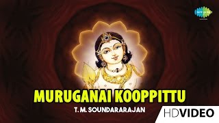 Muruganai Kooppittu  முருகனை கூப்பிட்டு  Tamil Devotional Video  TMS  Murugan Songs [upl. by Nomal]