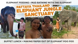 ELEPHANT JUNGLE SANCTUARY  ELEPHANT FEEDING AND MUD BATHING  THAILAND 2023 🇹🇭  Mark and Ann [upl. by Naivat]