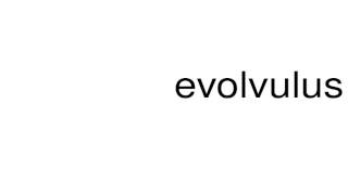 How to pronounce evolvulus [upl. by Rogozen]